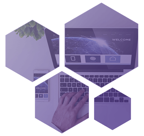 hubspot-cms-website-hexagon-lilla