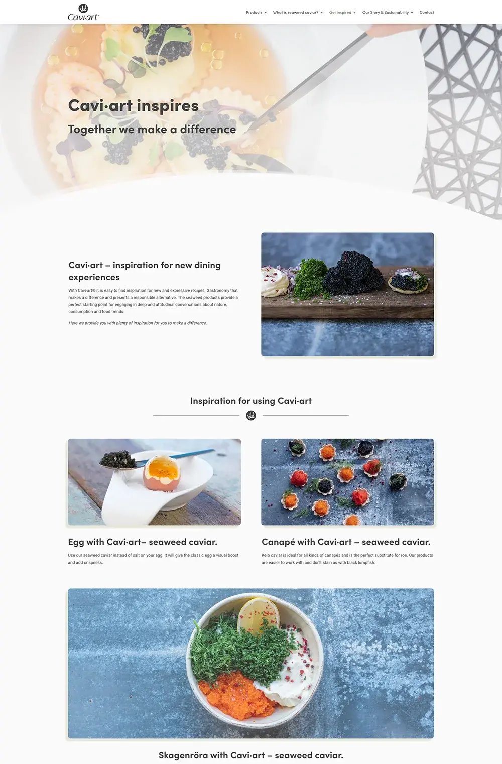 screencapture-caviart-dish-inspiration-2026-07-06-14_21_43 copy