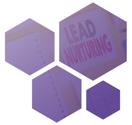 lead-nurturing-hexagon-lilla